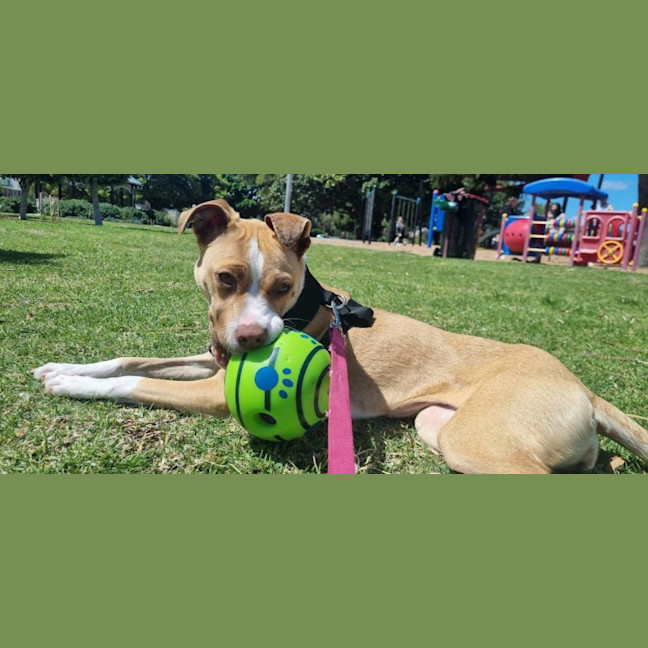 Photo of Ellie Valenti