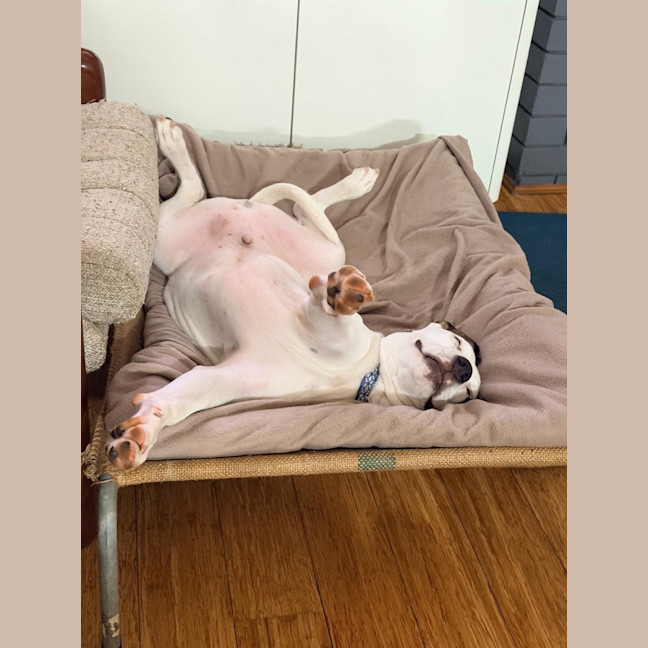 Photo of D1224 Lucky