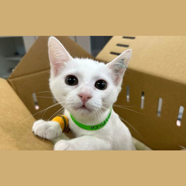 Photo of Powder