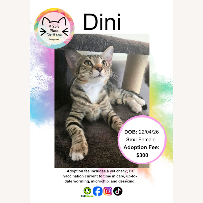 Photo of Dini