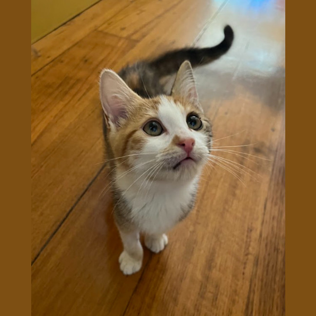 Photo of Lottie & Cindy 🌺🌺