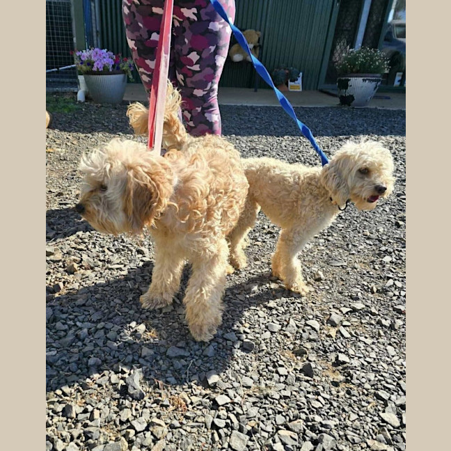 Photo of Bubble And Squeak