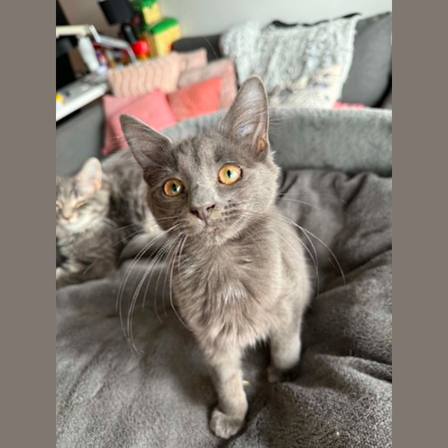 Photo of Arlo