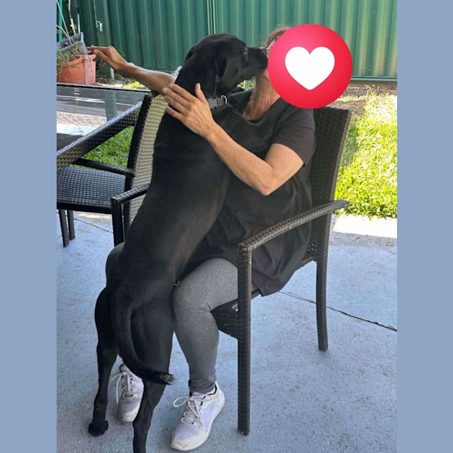 Photo of Boof