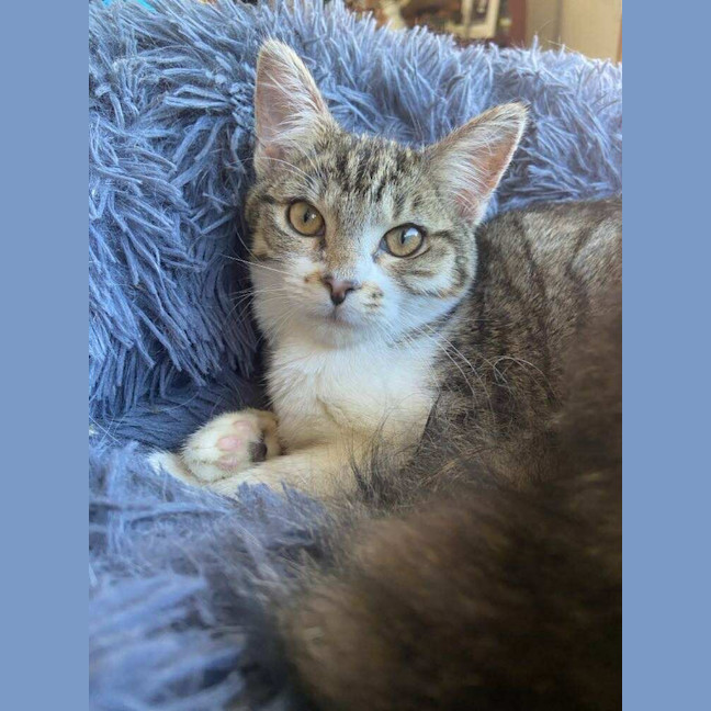 Photo of Helena