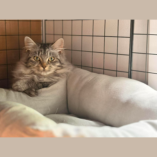 Photo of Charlie