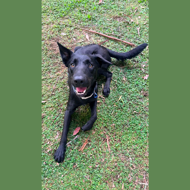 Photo of Harley