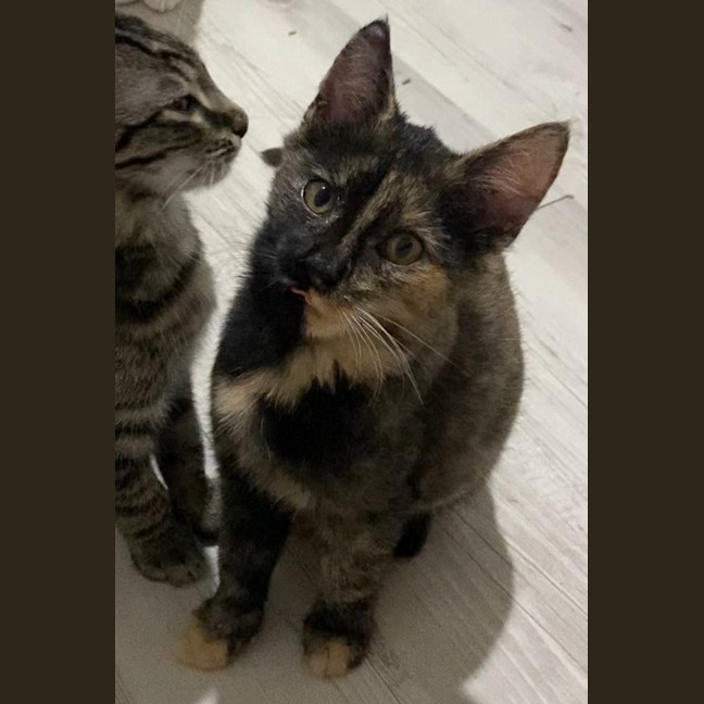 Photo of Agatha