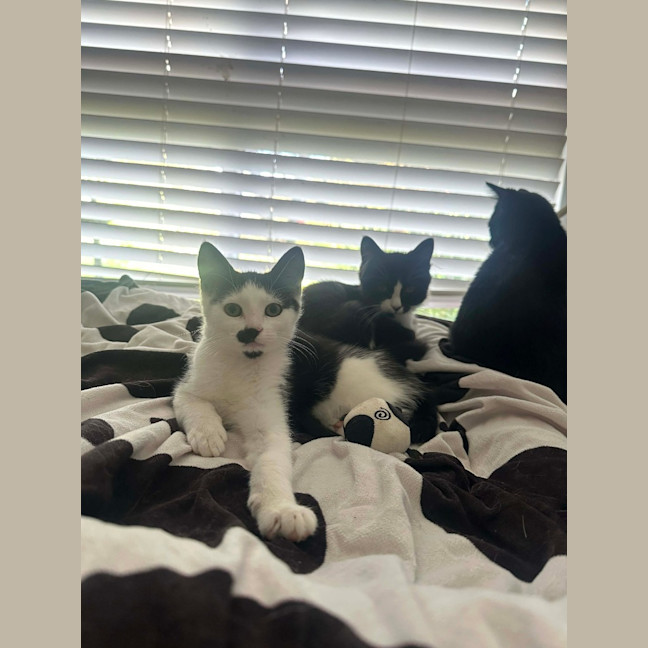 Photo of Tuna
