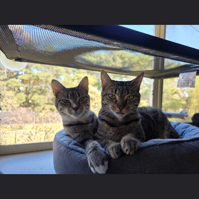 Photo of Poppy & Pepper