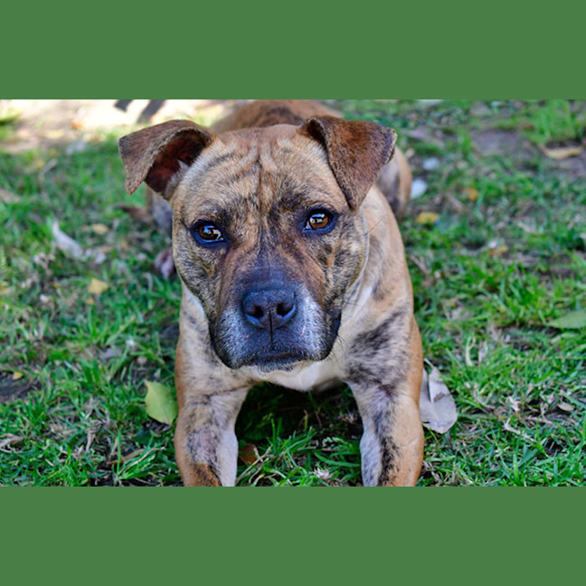 Photo of Polly Pocket