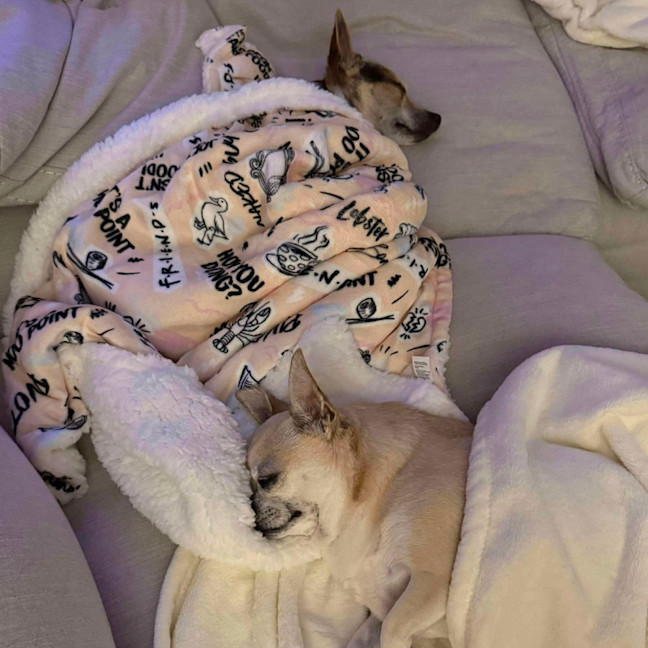 Photo of Little Lucky