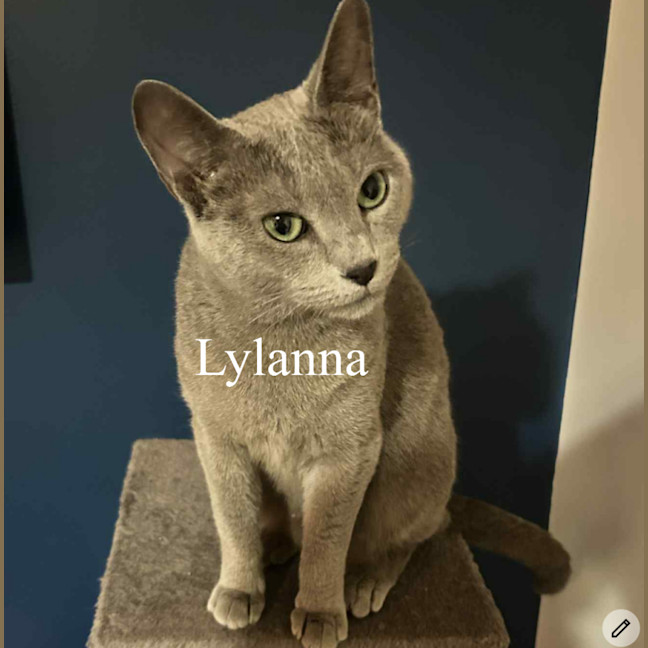 Photo of Lylanna And Mishka