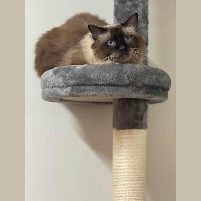 Photo of Mr Ice Blue