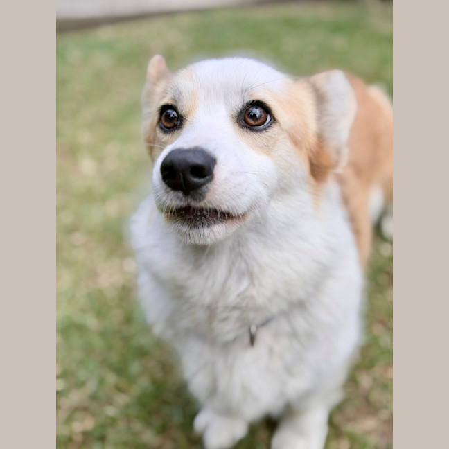 Photo of Lady 