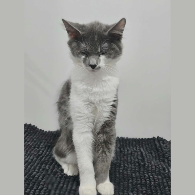 Photo of Stanley