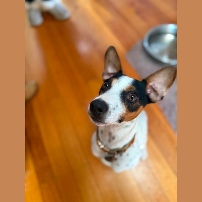 Photo of Bobby 