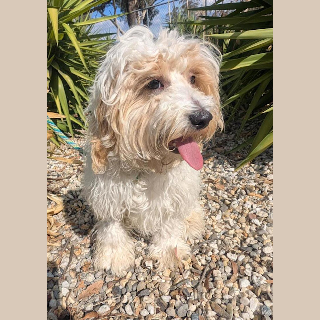 Photo of Scott Speedman