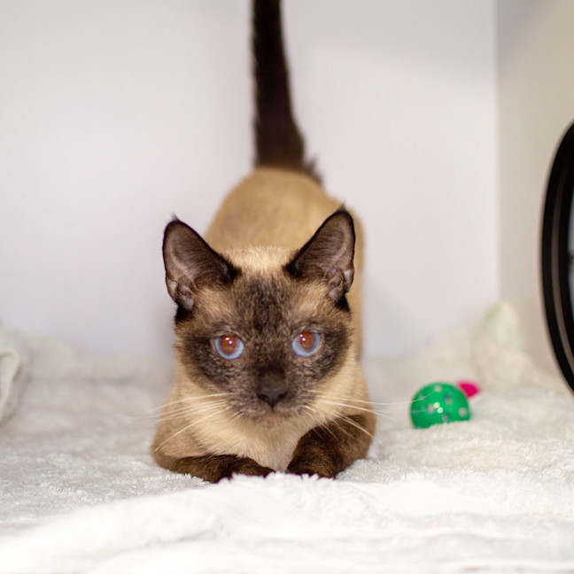 Photo of Liara