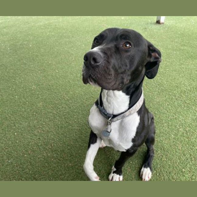 Photo of Zeus