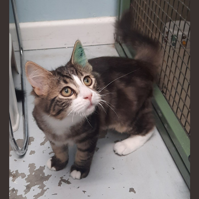 Photo of Monty