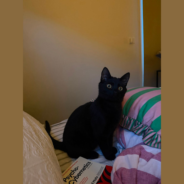 Photo of Cosmo
