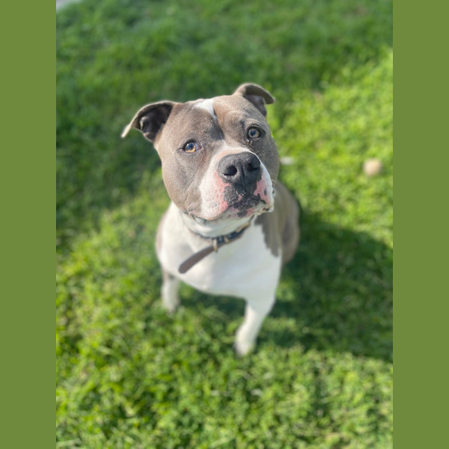 Photo of Buster Rhymes 