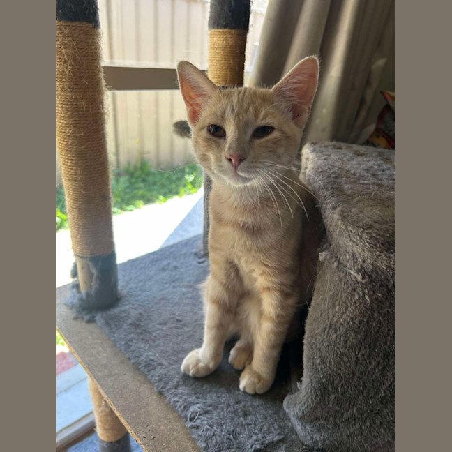 Photo of Jack & Jill 