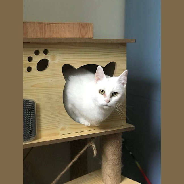 Photo of Rachel & Iggy