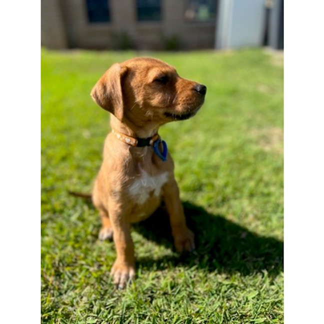 Photo of Maylie