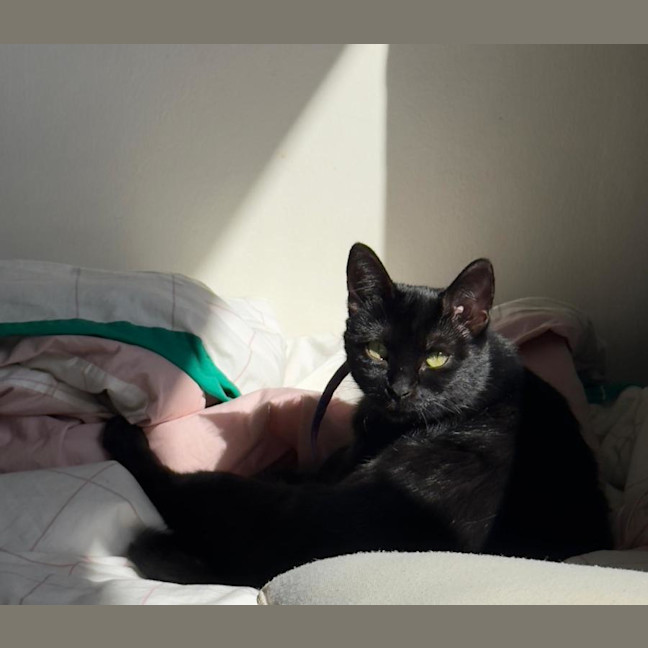 Photo of Candela