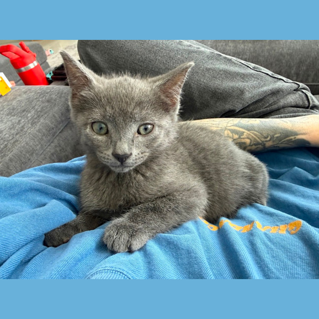 Photo of Harley & Harper