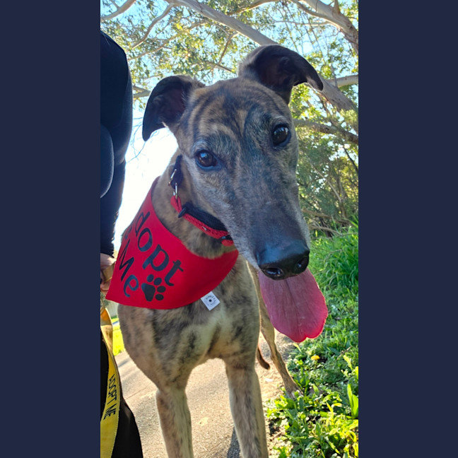 Photo of Skye