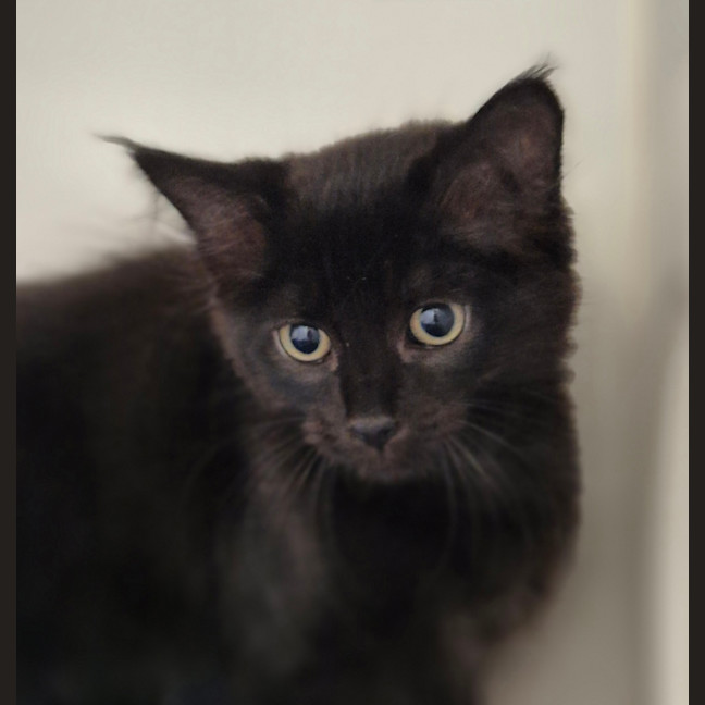 Photo of Bucky Barnes 