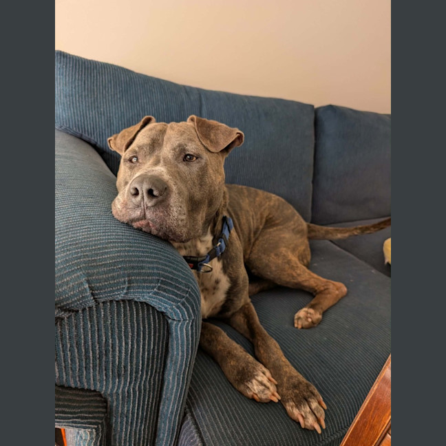 Photo of Patrick