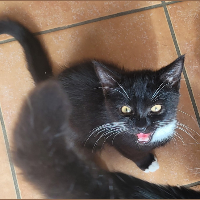 Photo of 💕 Chandler Bing 💕