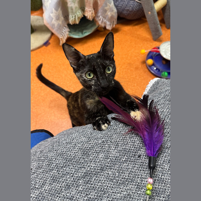 Photo of Dottie