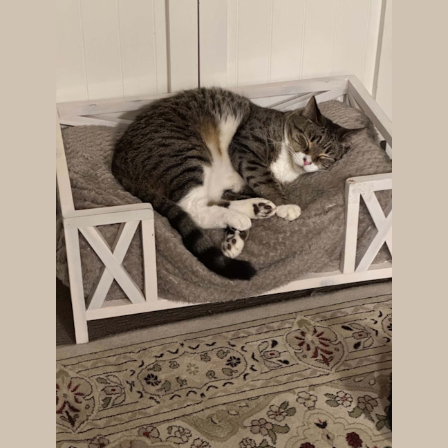 Photo of Benny