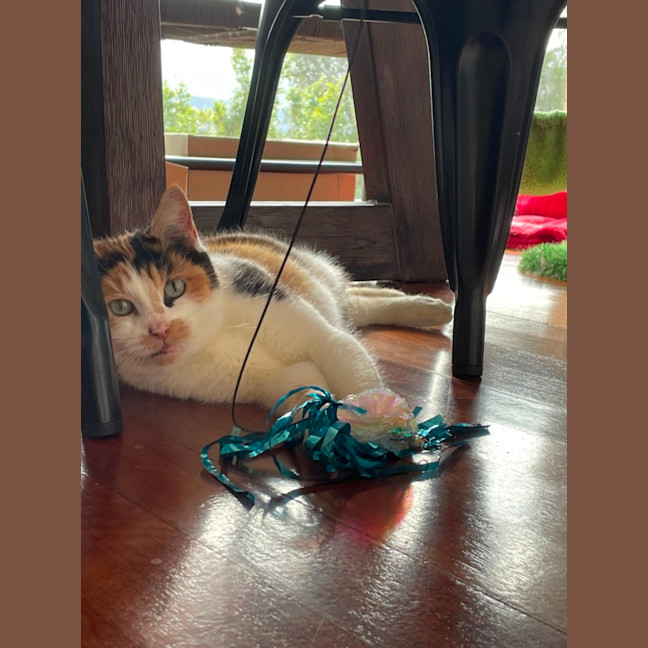 Photo of Winnie