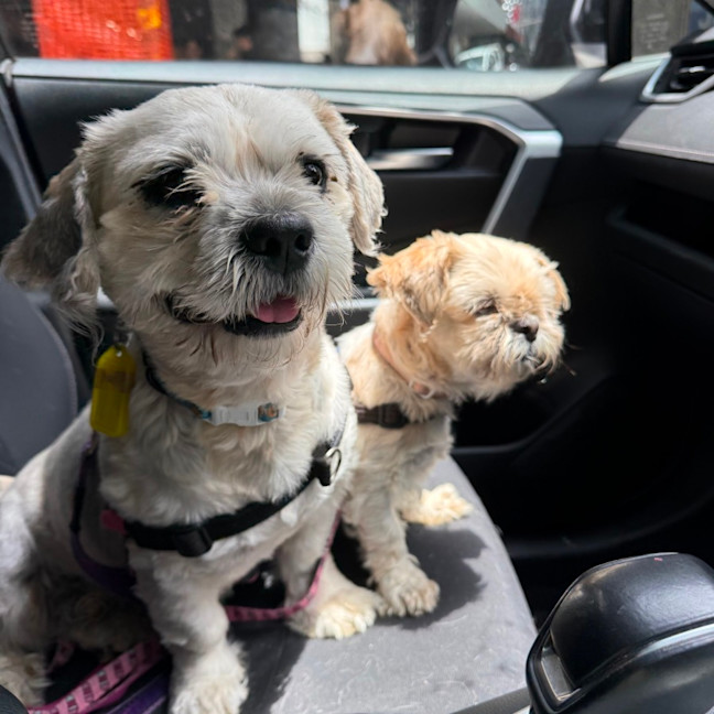 Photo of Ella And Blaze 