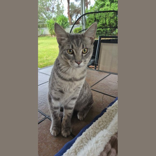 Photo of Ash 