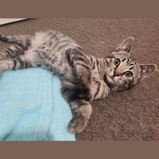 Photo of Logan   Located In Templestowe