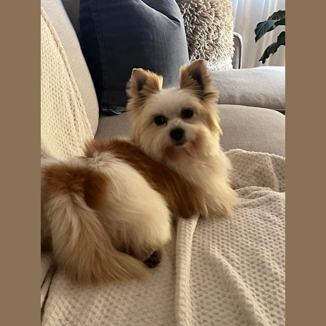 Photo of Bert