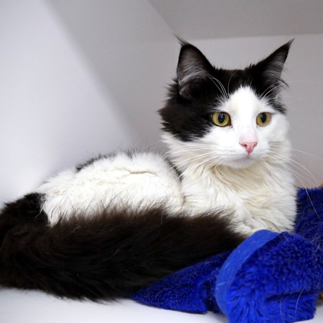 Photo of Tommy Sta014374