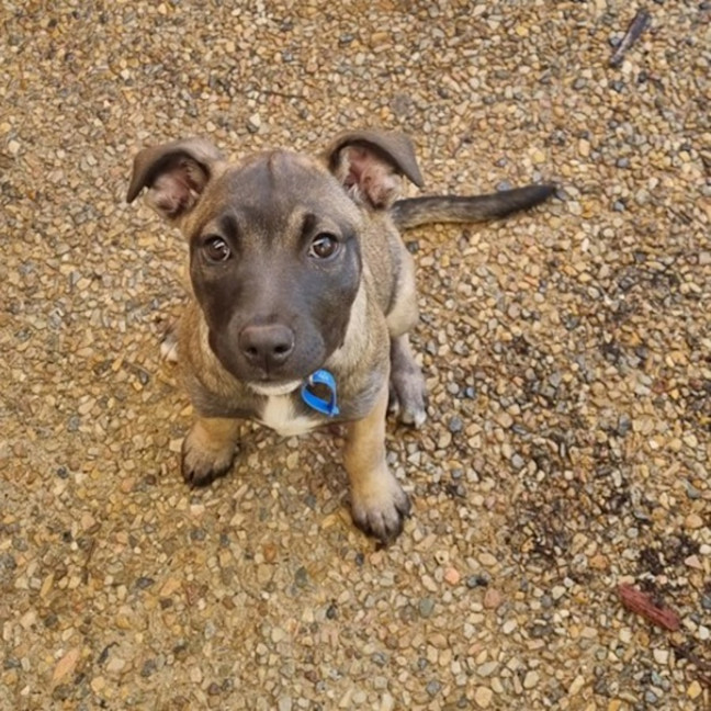 Photo of Elsie