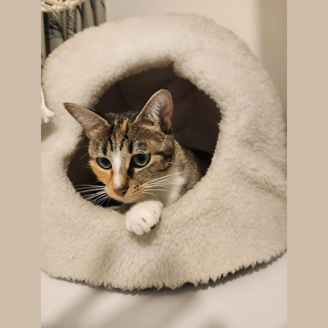 Photo of Enid