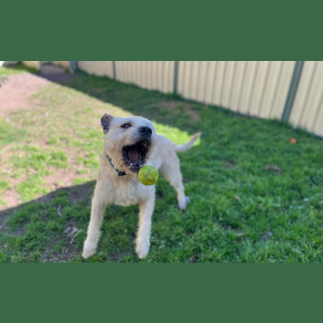 Photo of Marlo