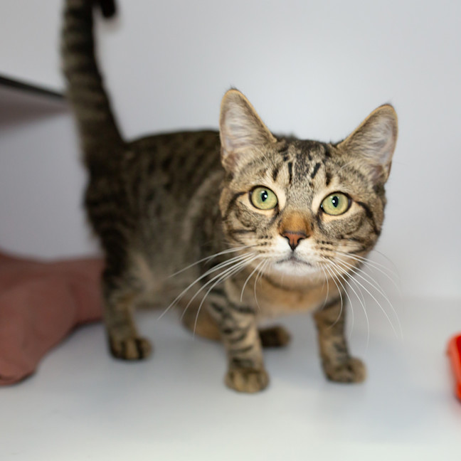 Photo of Clawde Monet