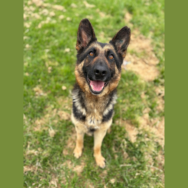 Photo of Bella