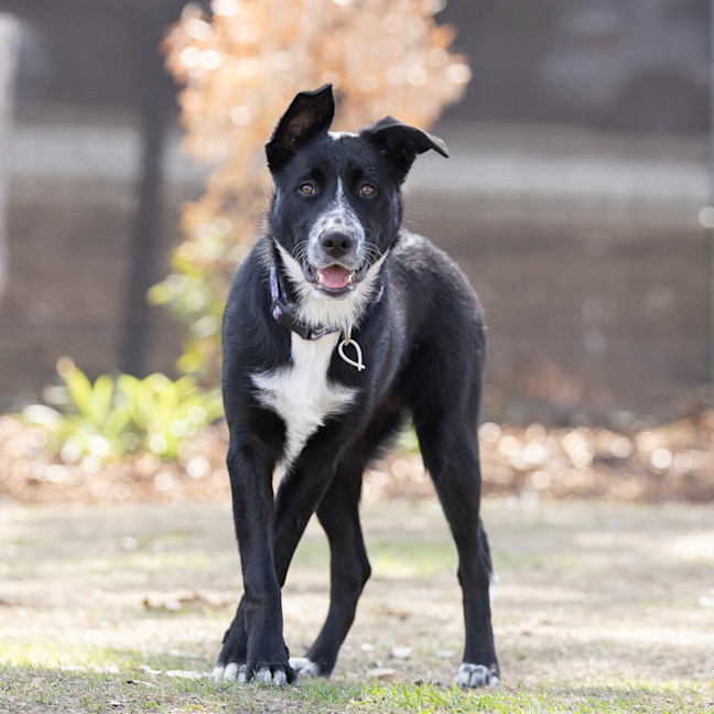 Photo of Murphy